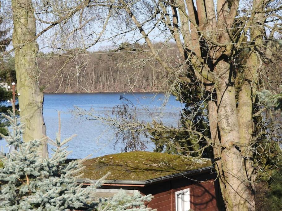 Dachwohnung Mit Wasserblick Und Eigenem Bootssteg Berlin Ngoại thất bức ảnh